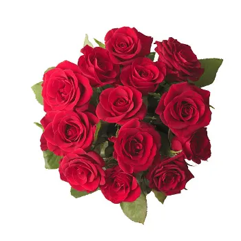 Red Cut Flowers